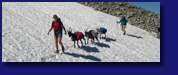 Packgeissen Trekking