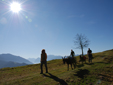 Geissen im Aufstieg